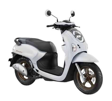 Honda Scoopy